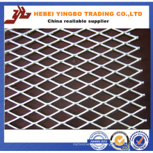 Decorative Expanded Metal Mesh/Door Mesh/Iron Expanded Wire Mesh